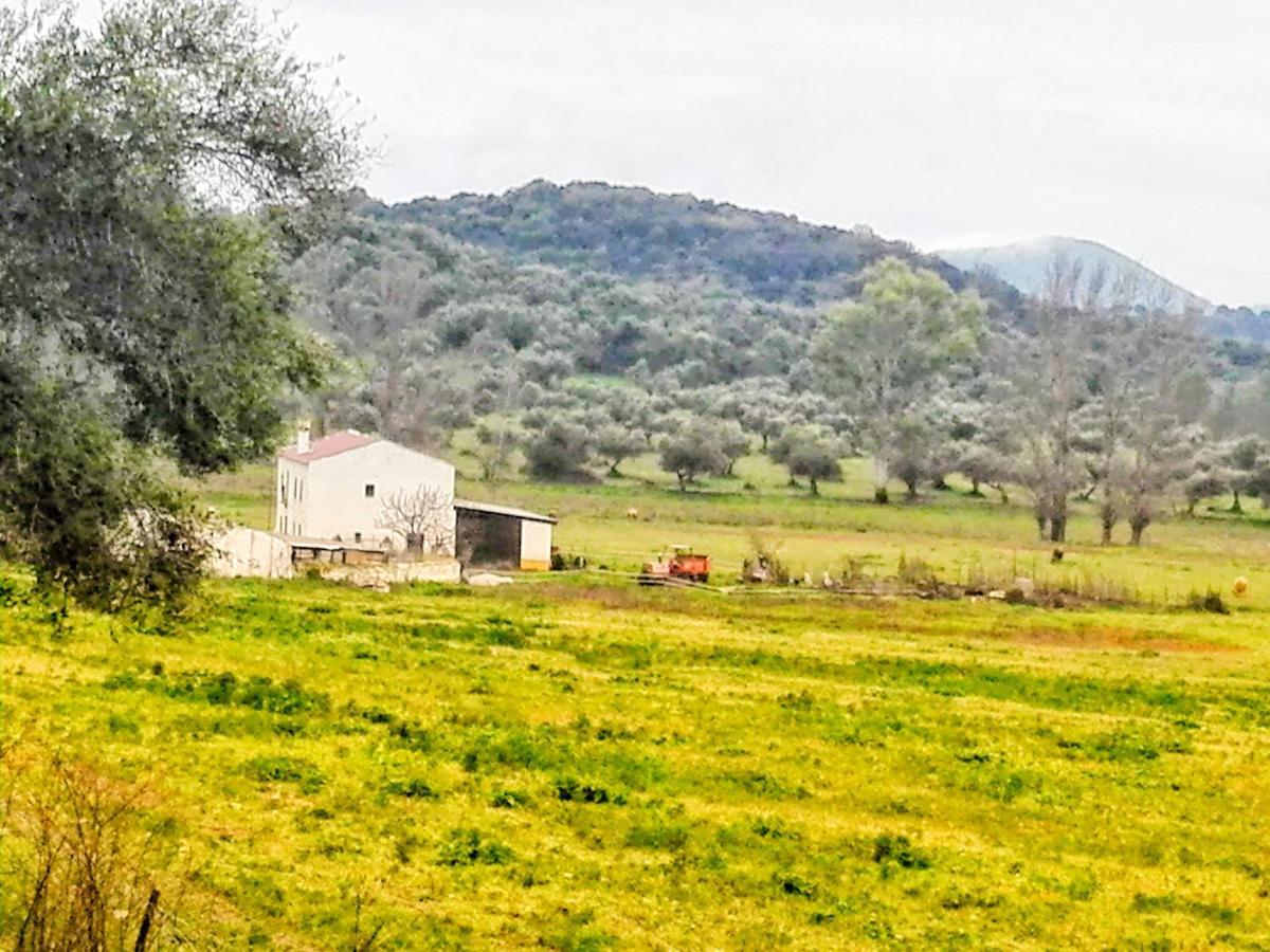 Maison d'hôtes El Antiguo Molino à El Bosque Extérieur photo