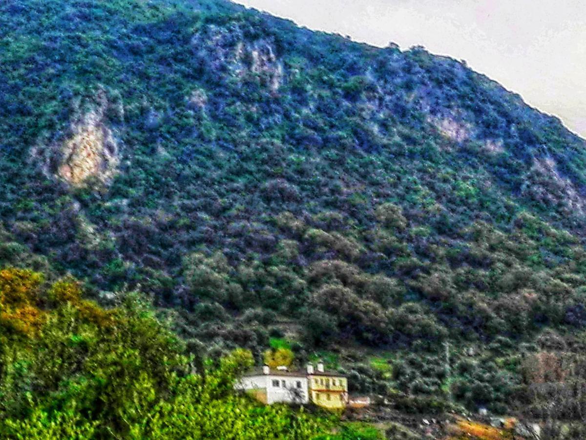 Maison d'hôtes El Antiguo Molino à El Bosque Extérieur photo